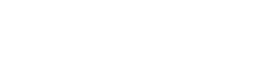 FLEXEC